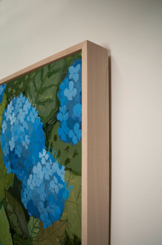 Blue Hydrangea