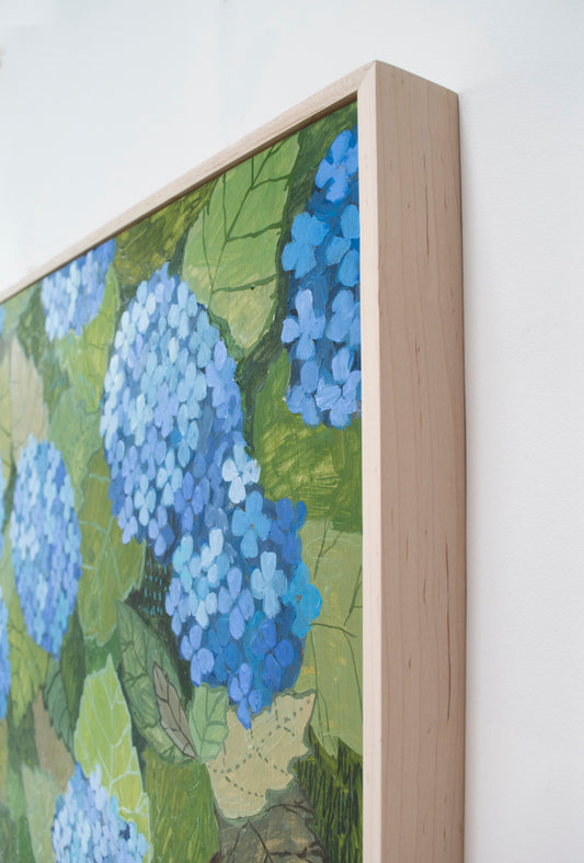 Powder Blue Hydrangea