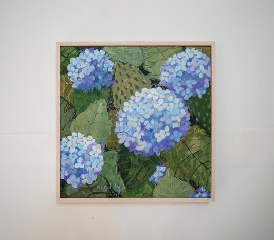 Opal Hydrangea