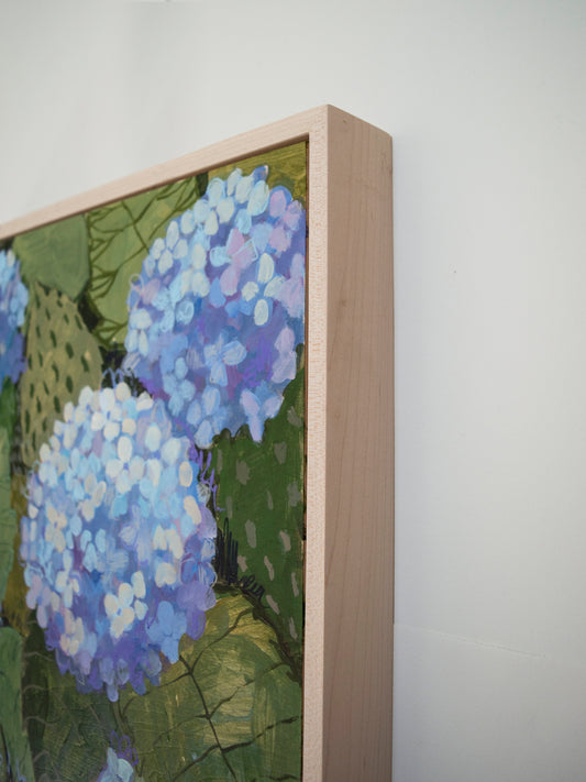 Opal Hydrangea