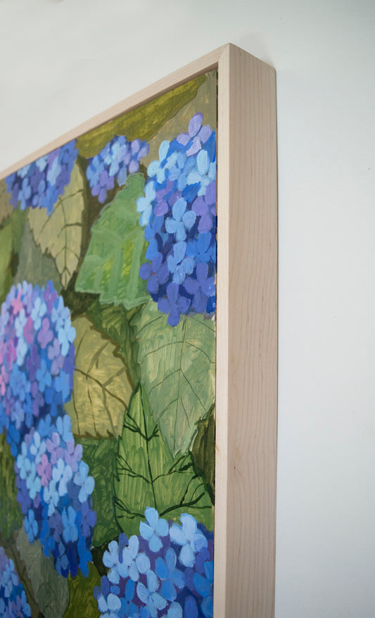 Ombre Hydrangea