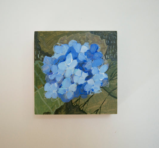 Hydrangea Bloom