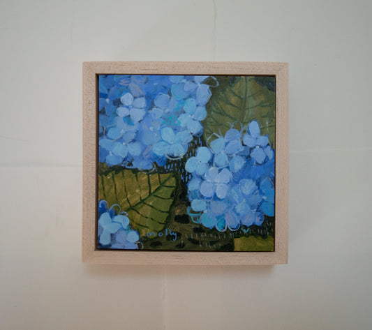 Powder Blue Hydrangea
