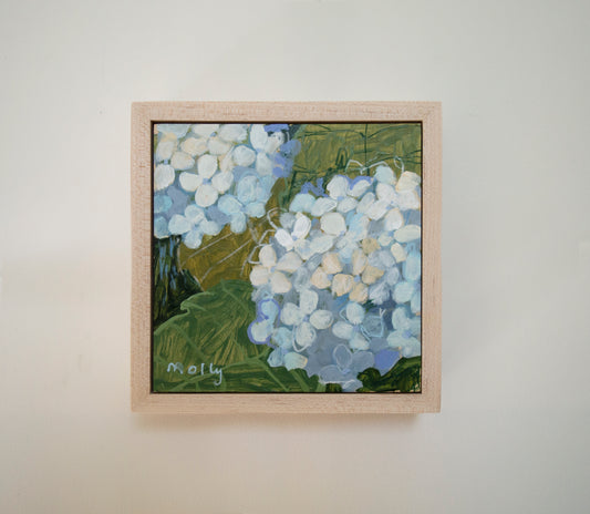 White Hydrangea