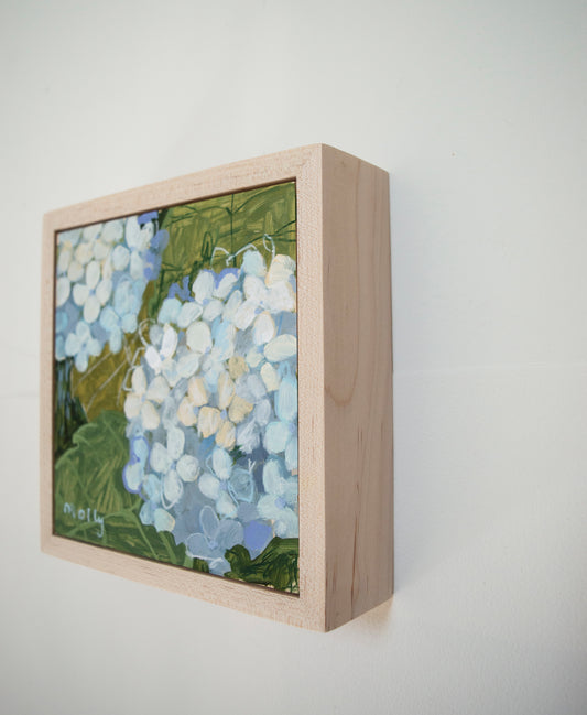 White Hydrangea