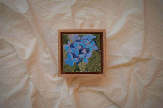 Turquoise Magenta Hydrangea Framed 4x4 (5.25x5.25 Framed)