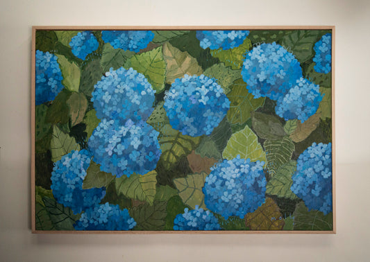 Blue Hydrangea