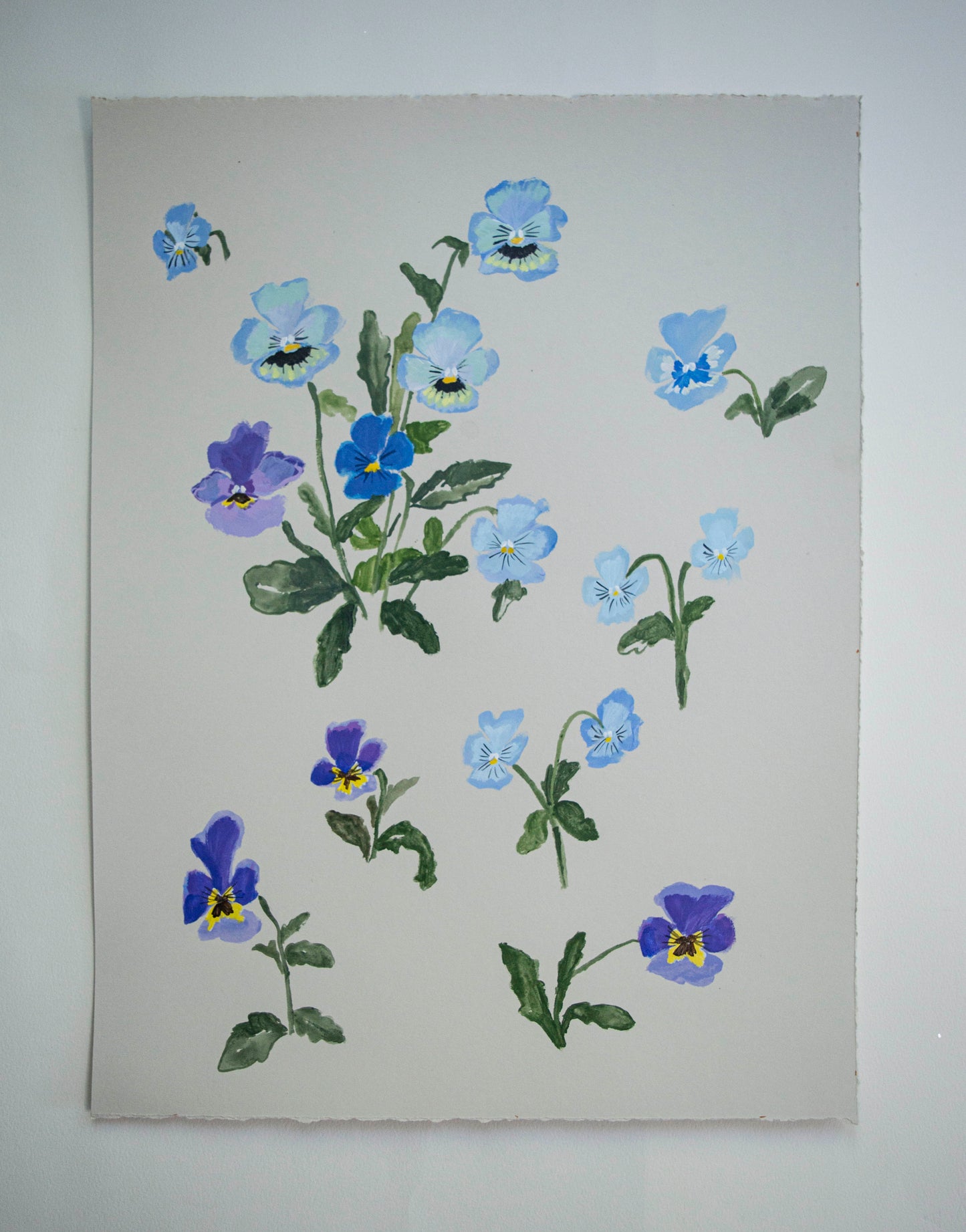 Pansies on Paper No.1